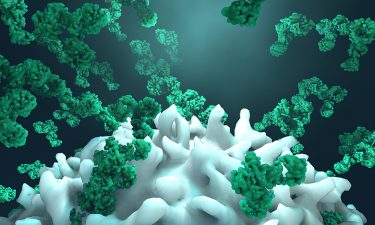 Innovations For Next Generation Antibody Drug Conjugates