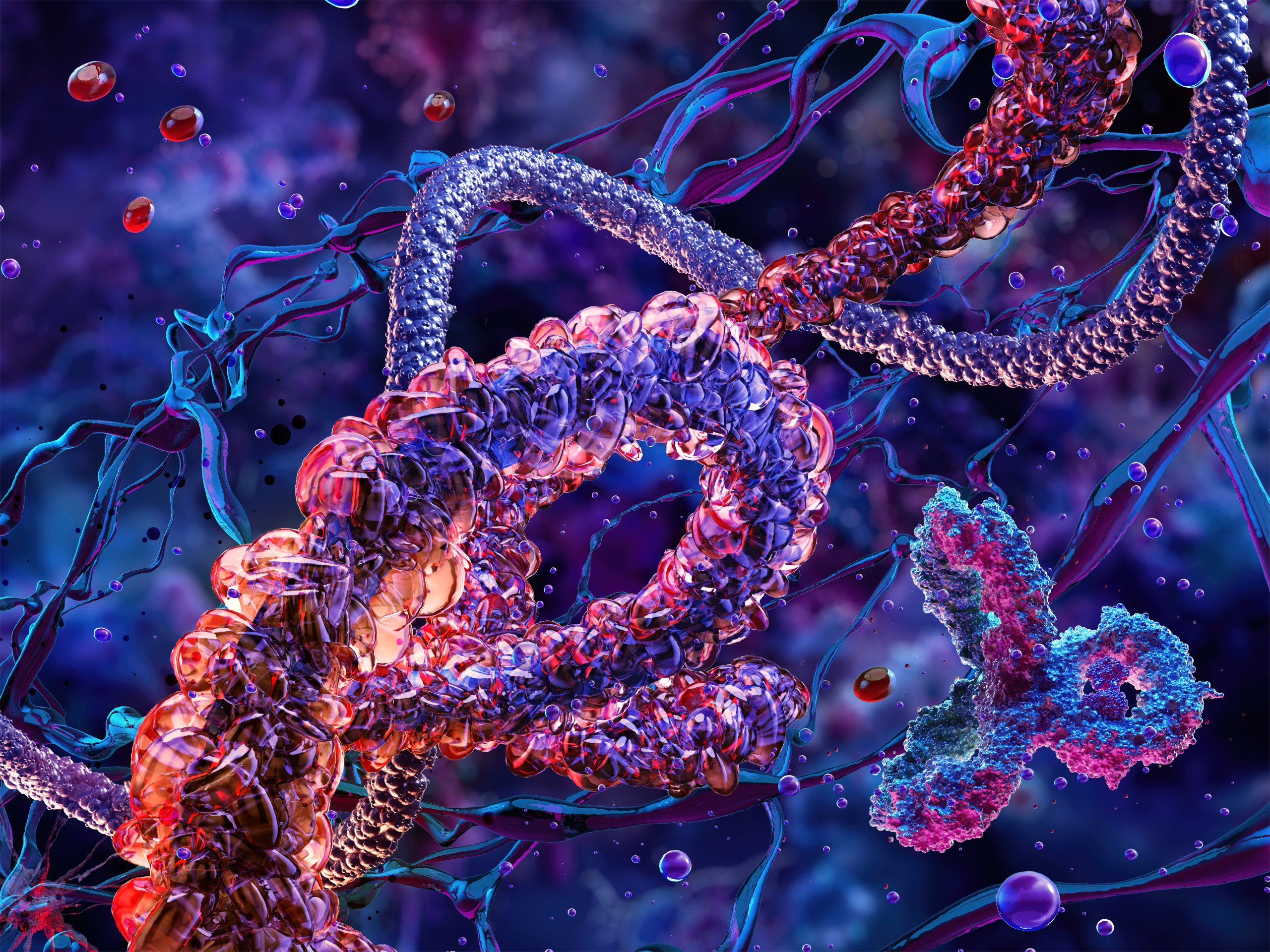 3D protein molecules structure formed by amino acids and peptides.