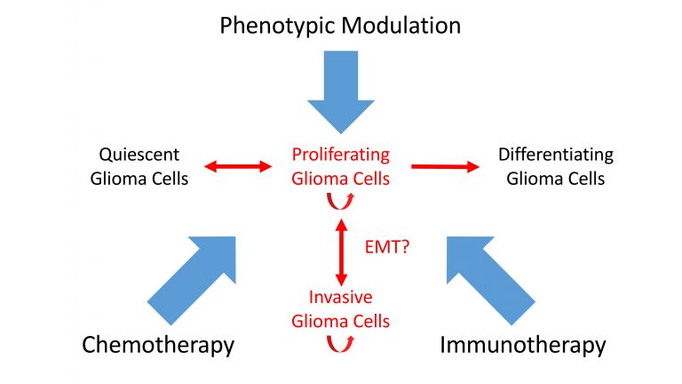 Clinically-oriented phenotypic screening of the cancer cell phenotype