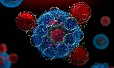 Novel CAR T-cell Therapy For B-cell Cancers Shows Promise In Vivo