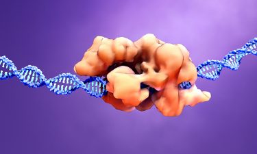 Scientists call for awareness of unintended mutations from CRISPR