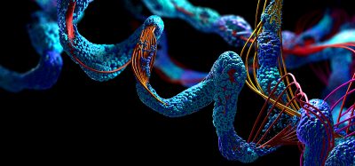 Chain of amino acid or bio molecules called protein - 3d illustration