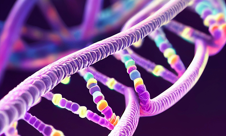 DNA technology helps slow down and scan molecules multiple times ...