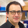 Dr Elad Katz