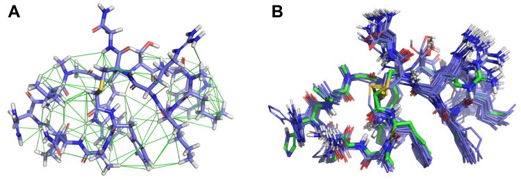 Figure 2: (A) Pep-01 (blue) in its lowest-energy solution conformation that satisfies experimental NMR inter-proton restraints (green); and (B) a comparison of the full NMR-restrained solution ensemble (blue) to the PD-L1-bound form (green). In consideration of experimental NMR restraints, biologically relevant conformations can be identified, reflecting macrocyclic behaviour in solution which often matches what is observed when binding the biological target.