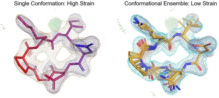 Figure 3: A demonstration of the improvements in modelling the fit of macrocycle ligand conformations into X-ray density on a known protein-ligand complex (3WNE PDB). By considering ensembles instead of single conformers, it is possible to reduce the estimated strain of the complex, and to more realistically model how a ligand interacts with a target protein.