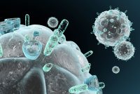 Novel CAR T-cell therapy could help cure HIV - Drug Target Review