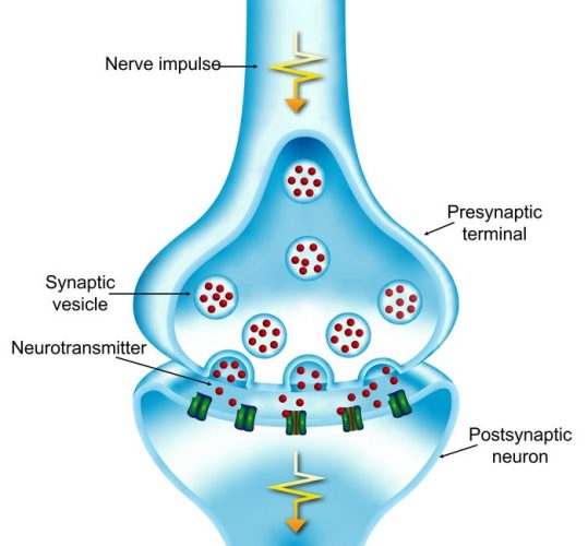 How tau impairs communication between neurons in Alzheimer's