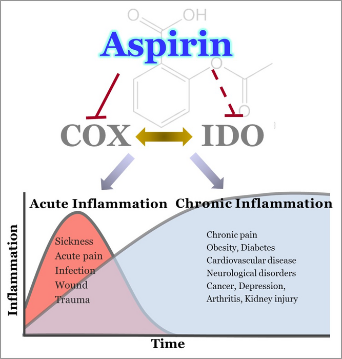 Novel study suggests alternatives to aspirin with fewer side effects