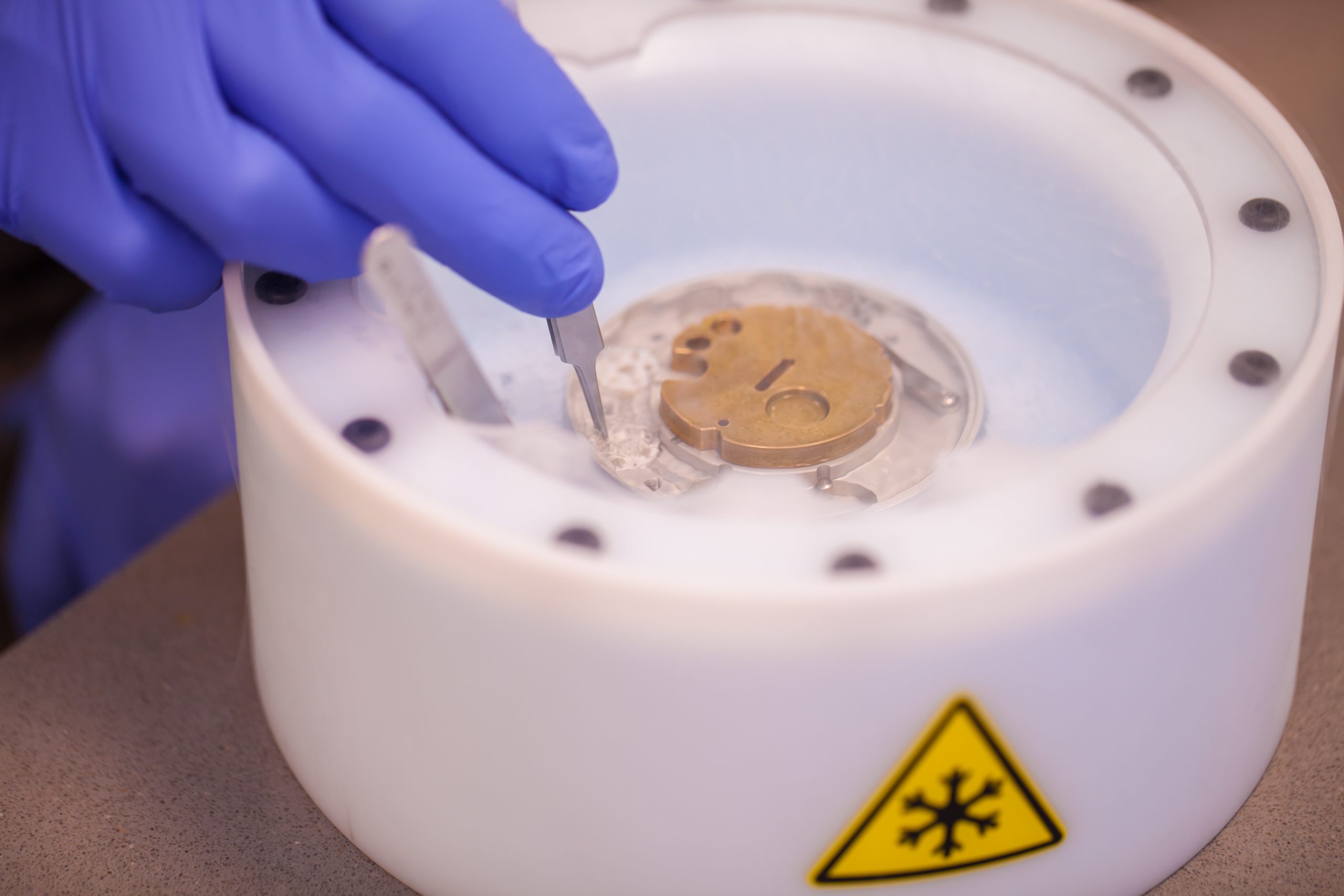 Preparing cryo-electron microscopy grid sample in liquid nitrogen with protective gloves