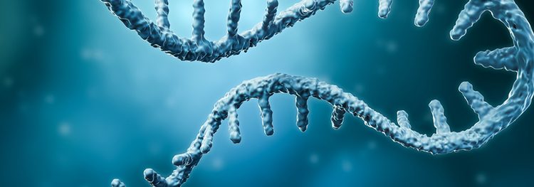 Messenger RNA or mRNA strand 3D rendering illustration with copy space. Genetics, science, medical research, genome replication concepts.