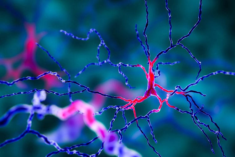 neurons firing in the brain