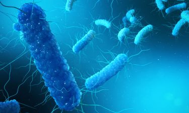 Antibiotics with novel mechanism of action discovered