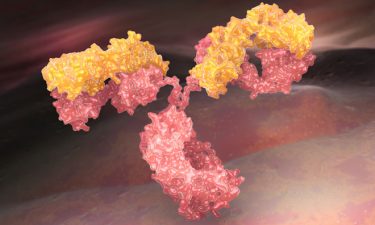 Numab and Kaken enter into an antibody collaboration