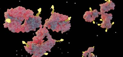 antibody drug conjugates