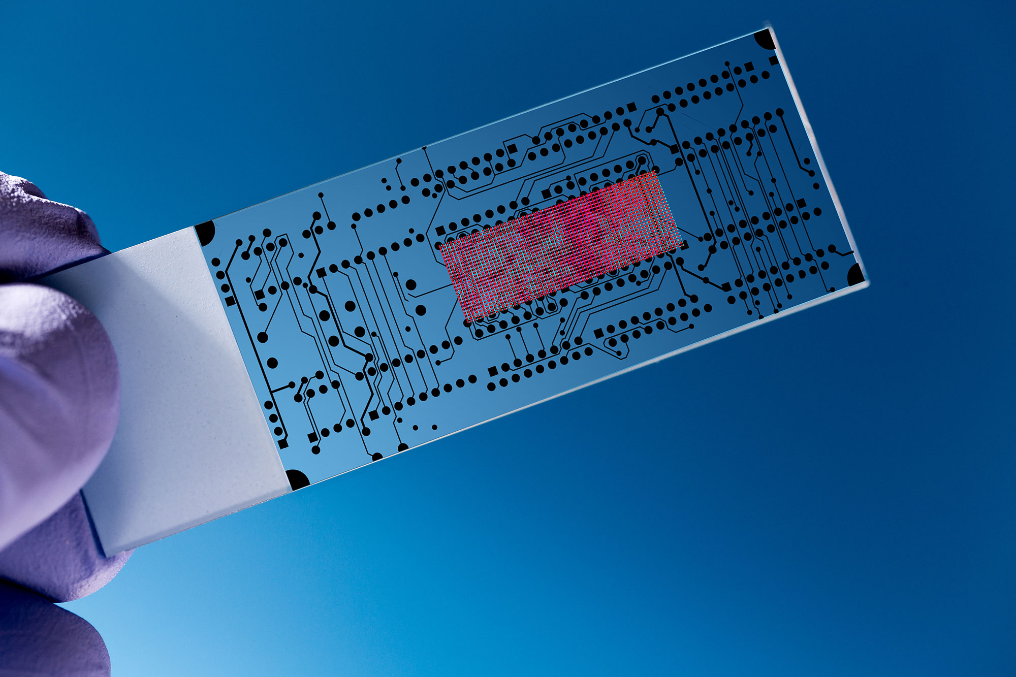 Cellasic onix2 microfluidic system