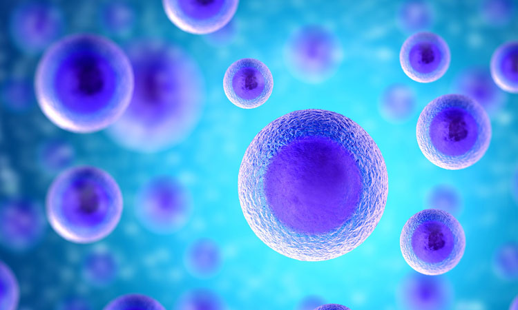 drug metabolism modelling