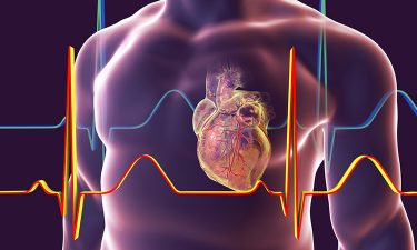 New discovery could lead to treatment for cardiac hypertrophy