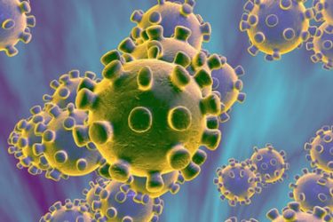 Roche Launches Assay To Identify HTLV Virus I II Infection   Htlv 375x250 