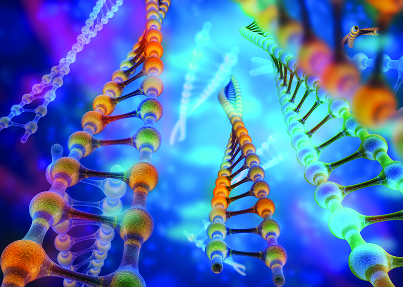 Finding a cure for neglected tropical diseases with cell-based assays