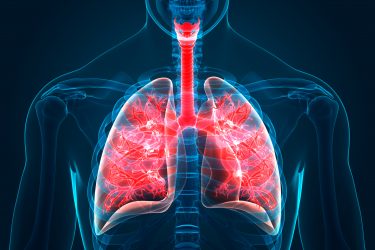 Lung epithelium model being tested as a platform for COVID-19 research