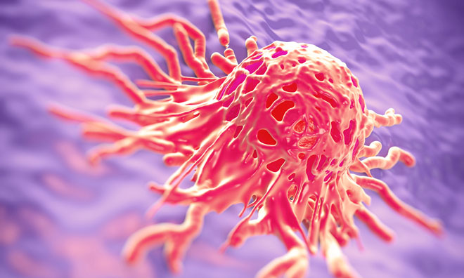 pancreatic cancer cell