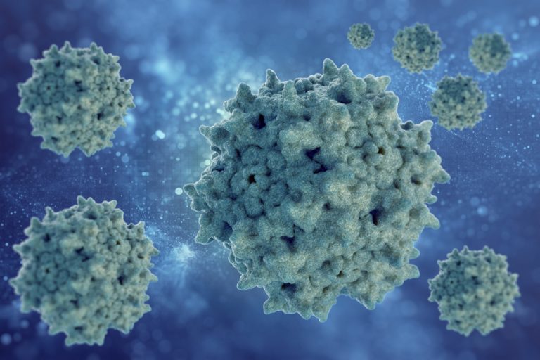 Researchers Simulate Hepatitis B Infection Using Computational Method   Shutterstock 1071219755 768x512 