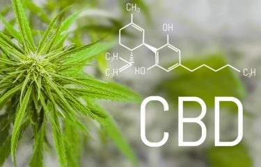 Cannabidiol Identified As Potential 'helper' Compound For Antibiotics