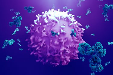 Utilising CAAR T cells to treat antibody-caused brain disease