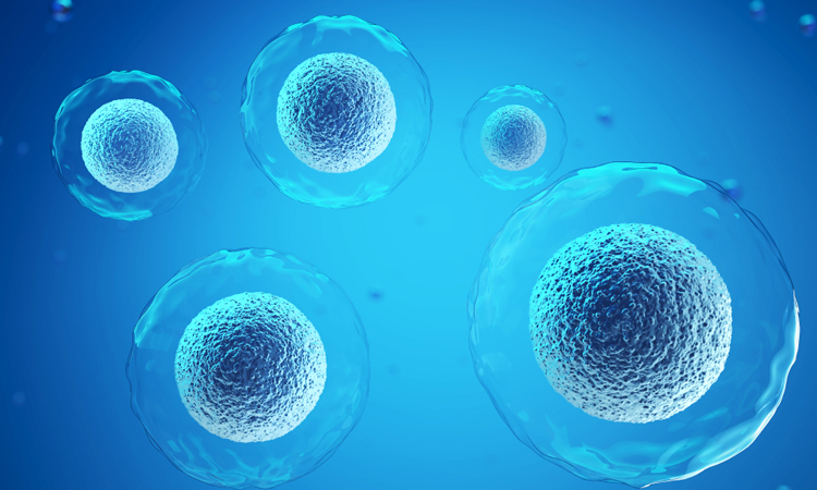 Five of the latest cancer stem cell discoveries - Drug Target Review