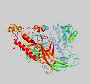 tyrosine kinase