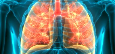 An image to show human respiratory system and lungs anatomy