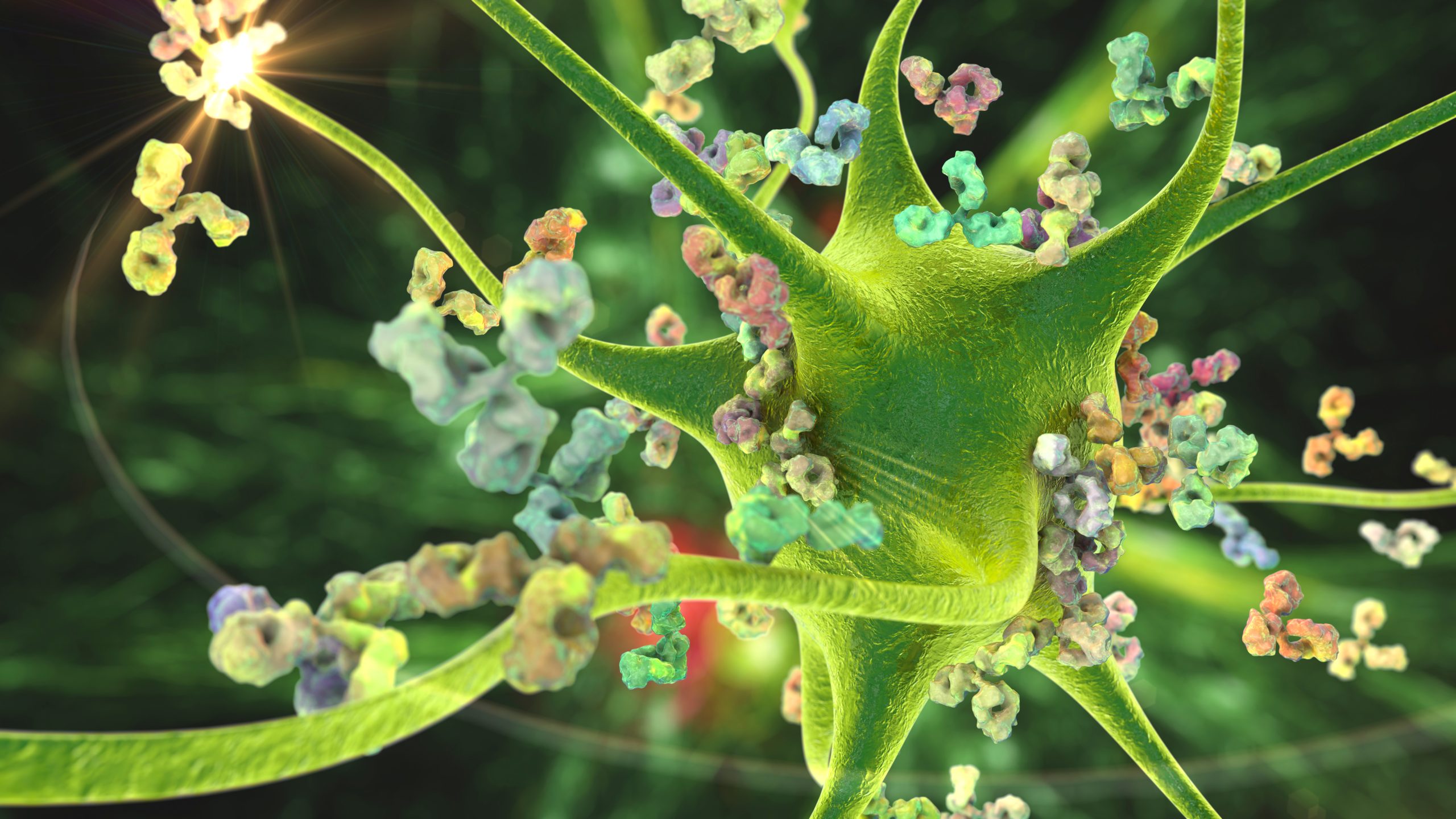 antibodies attacking neuron