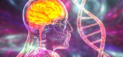 Genetic brain disorders, conceptual 3D illustration. Mutations in the DNA leading to brain diseases. Neurogenetics, neurodegenerative disorders