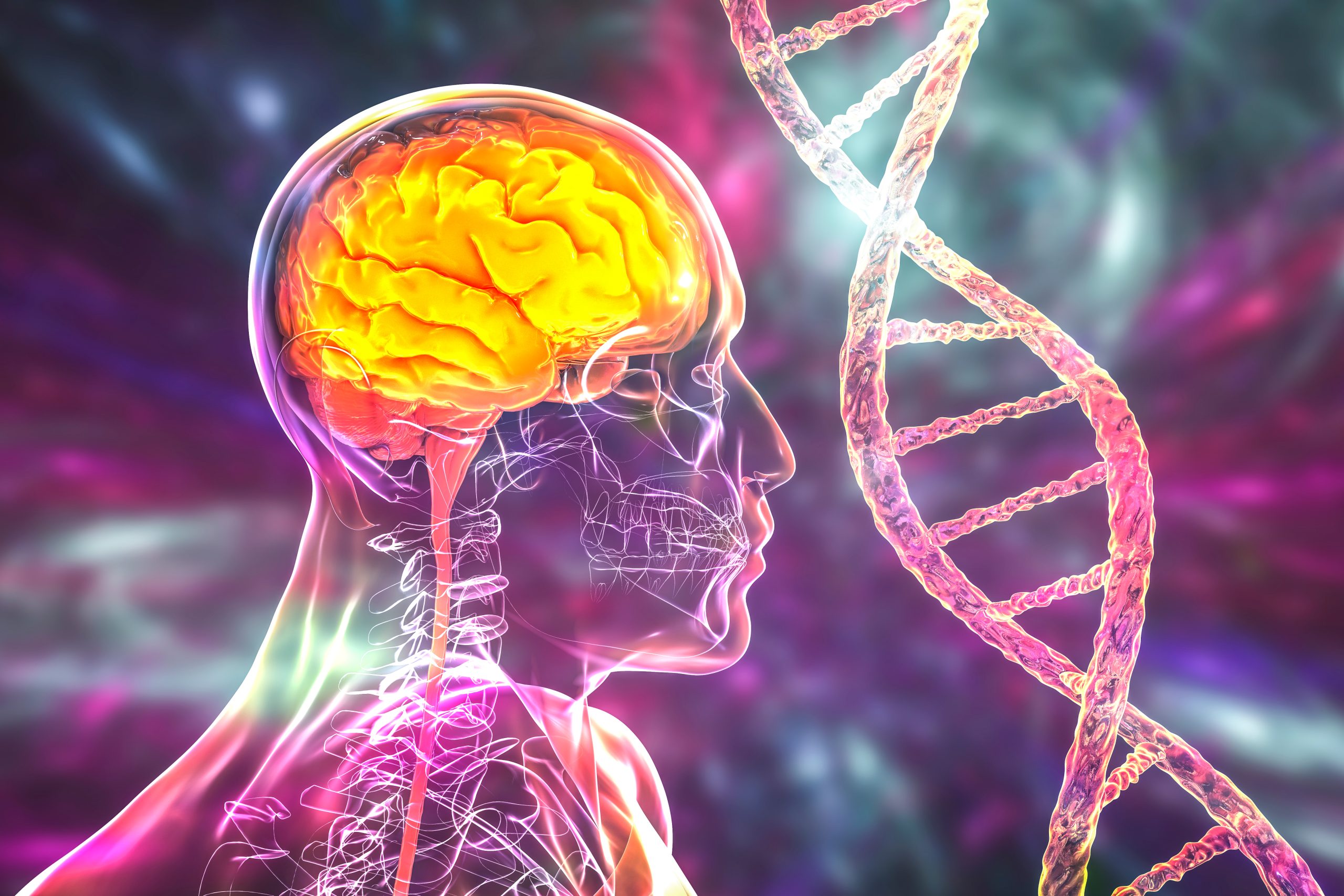 Genetic brain disorders, conceptual 3D illustration. Mutations in the DNA leading to brain diseases. Neurogenetics, neurodegenerative disorders