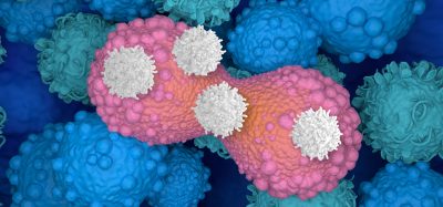 breast cancer cells dividing
