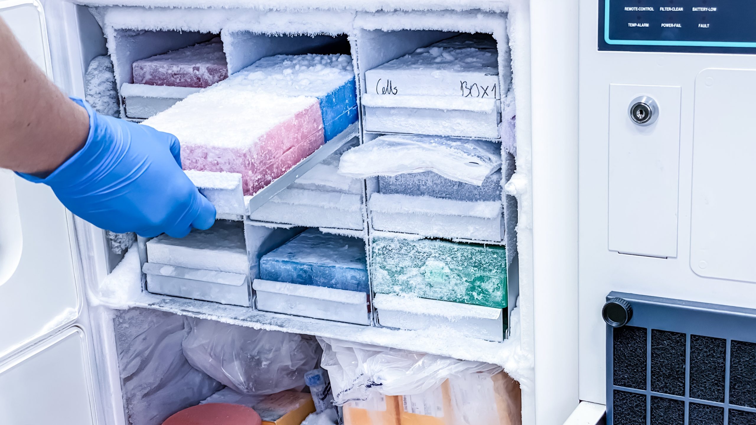 lab freezer storage