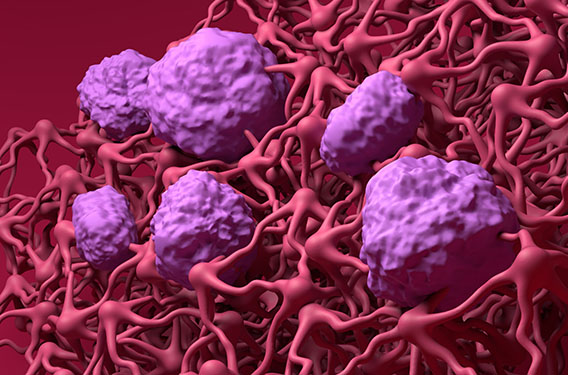 Blood-brain barrier (BBB) in the human brain - closeup view 3d illustration