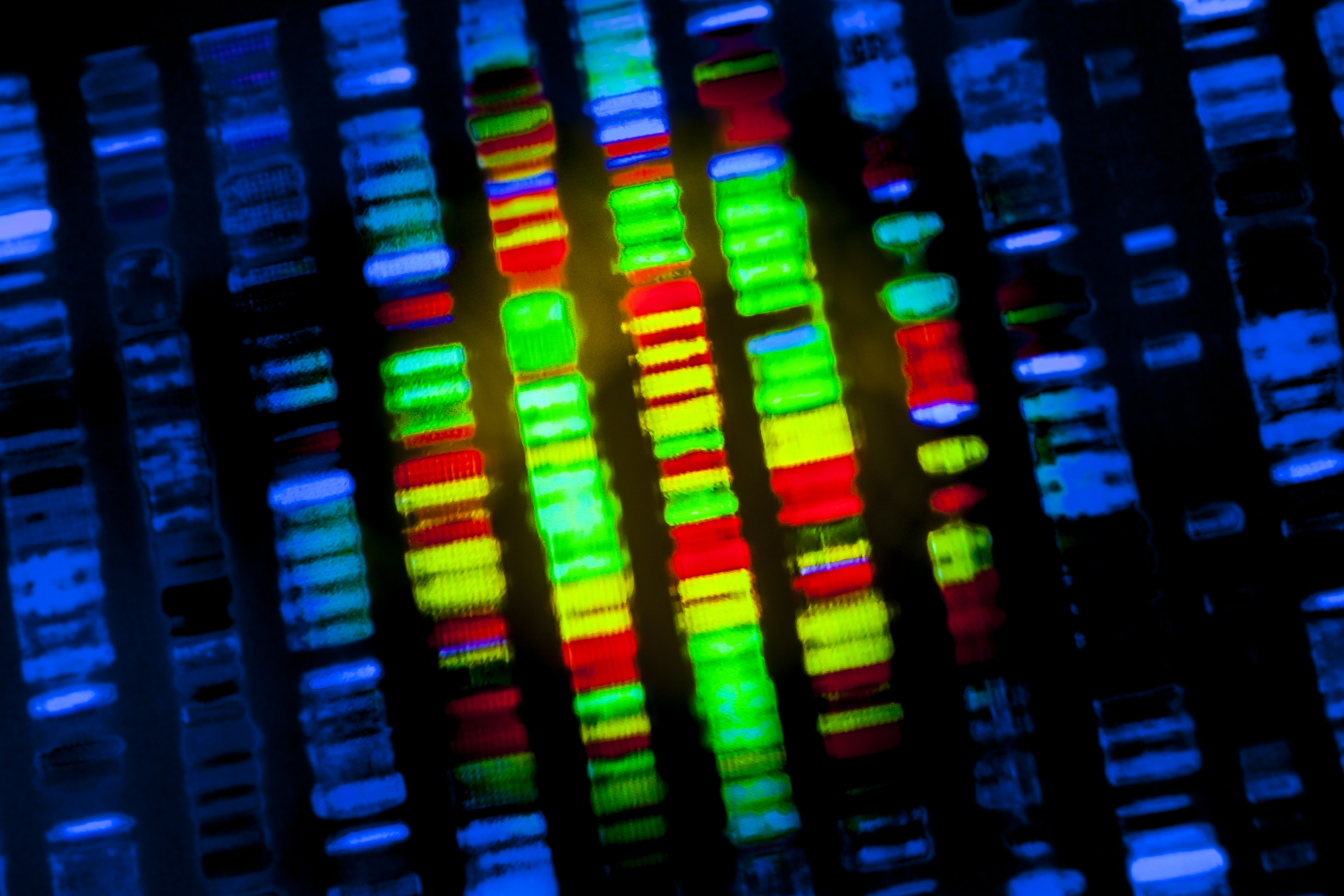 How next-generation sequencing is opening the door for drug discovery