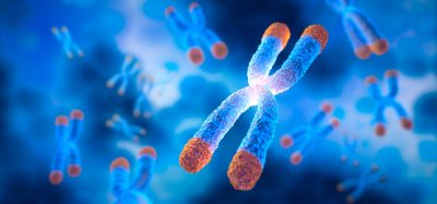 Chromosome with Telomere and bubble floating on blue background - science and anti aging concept - 3D illustration