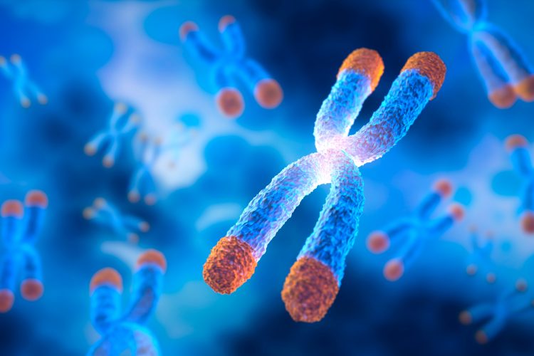 Chromosome with Telomere and bubble floating on blue background - science and anti aging concept - 3D illustration