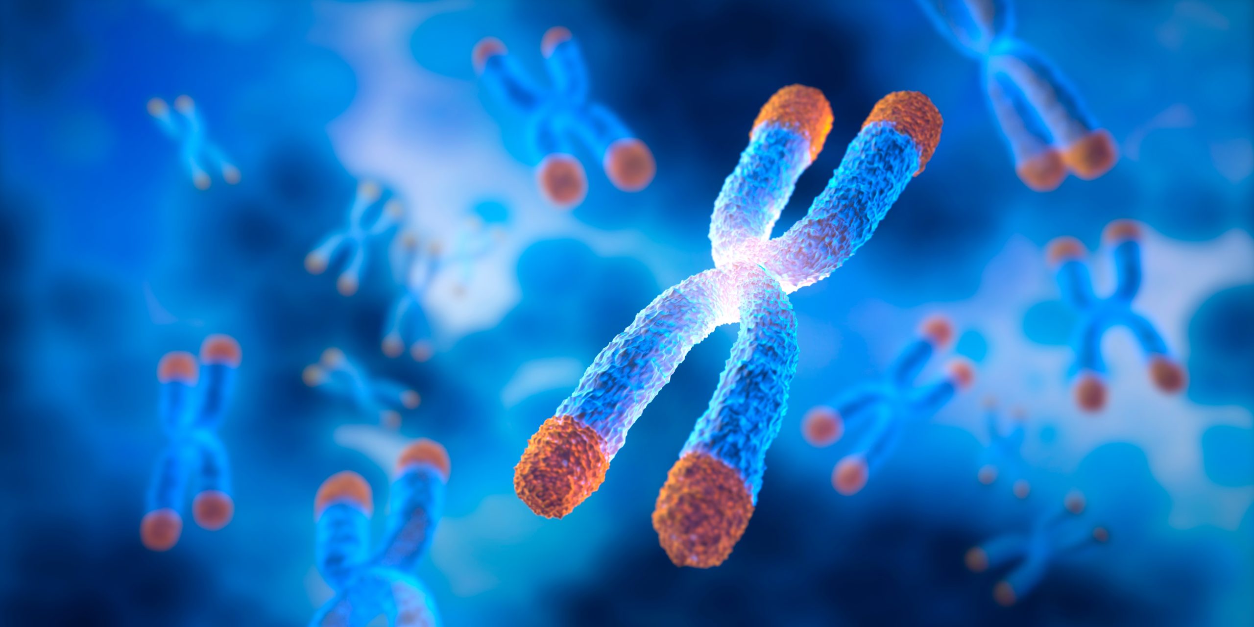 Chromosome with Telomere and bubble floating on blue background - science and anti aging concept - 3D illustration