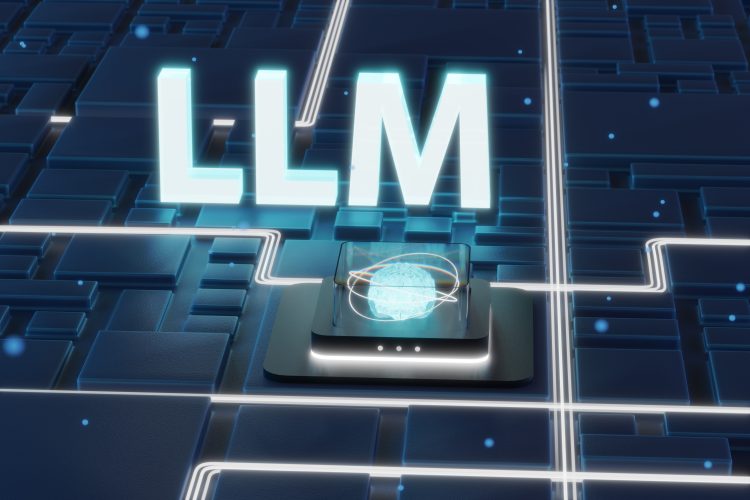 Large Language Model (LLM)