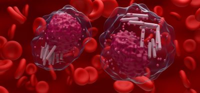 Chronic lymphocytic leukemia (CLL) cells in blood flow - closeup view 3d illustration