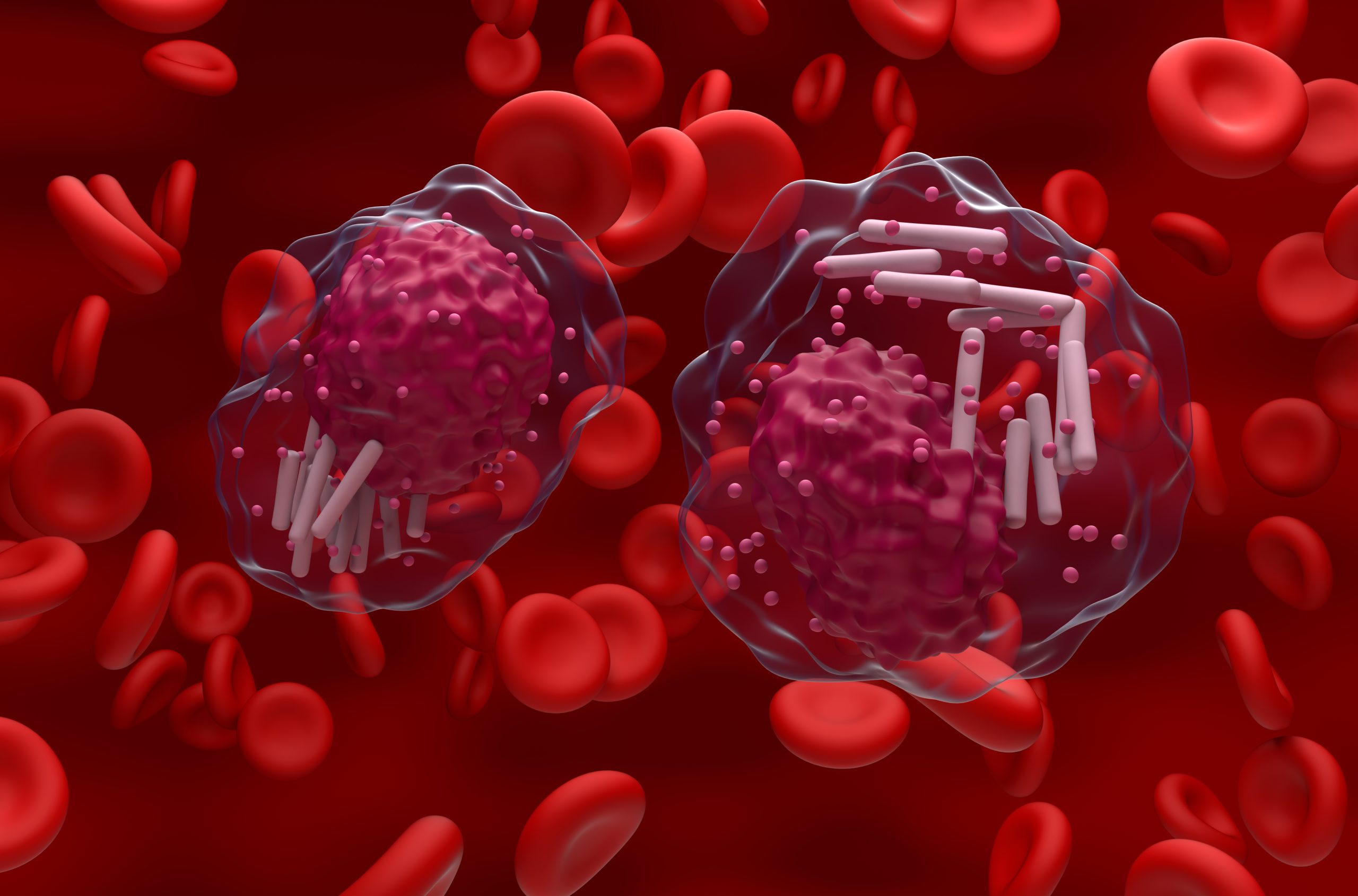 Chronic lymphocytic leukemia (CLL) cells in blood flow - closeup view 3d illustration