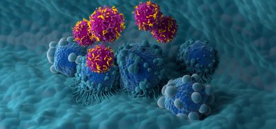 car-t cell therapy