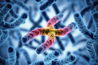 Sequencing all 24 human chromosomes uncovers rare disorders