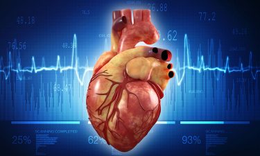 Human heart-in-a-jar model to be developed for research