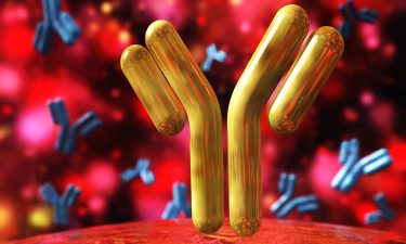 Antibody characterisation – an essential researchers’ resource